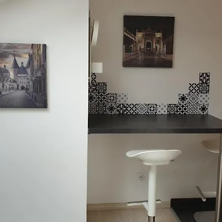 Apartment Joli Calme Coeur De Nancy